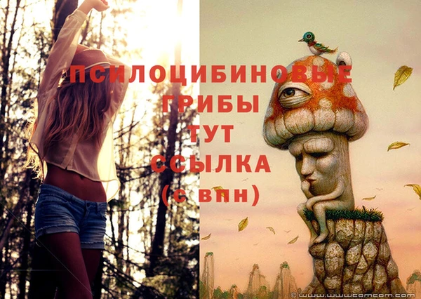 соль ск Вяземский