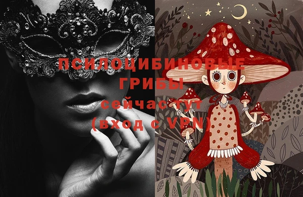 spice Вязники