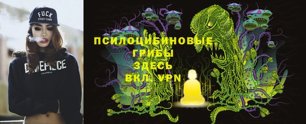 spice Вязники